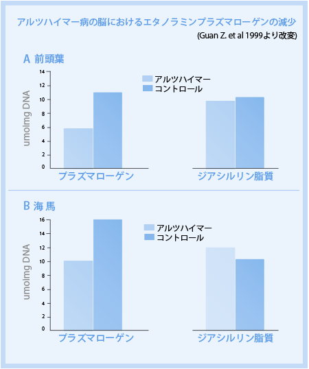 図：アルツハイマー病の脳におけるエタノラミンプラズマローゲンの減少